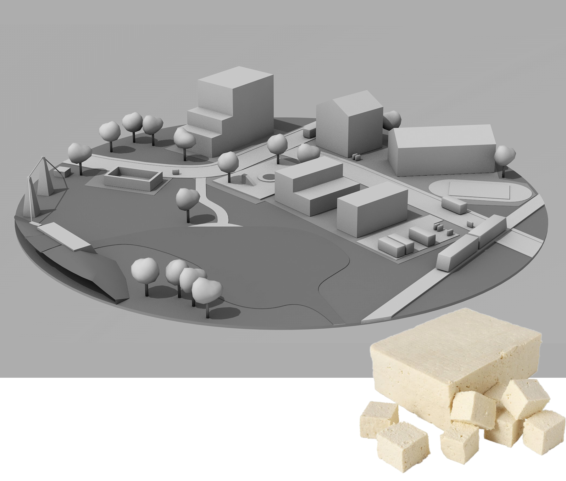 Gray 3D block model of a neighborhood with a real tofu block in the foreground as a metaphor for block models.